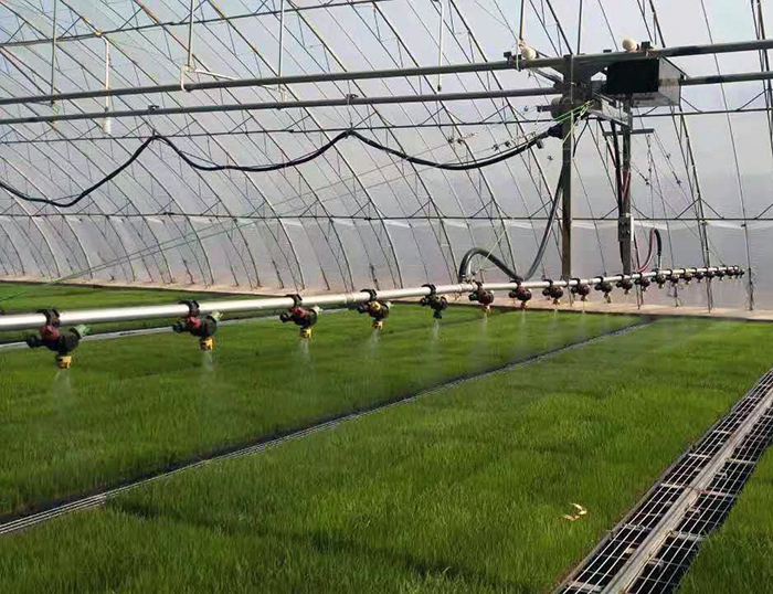 溫室自動(dòng)噴灌機(jī)